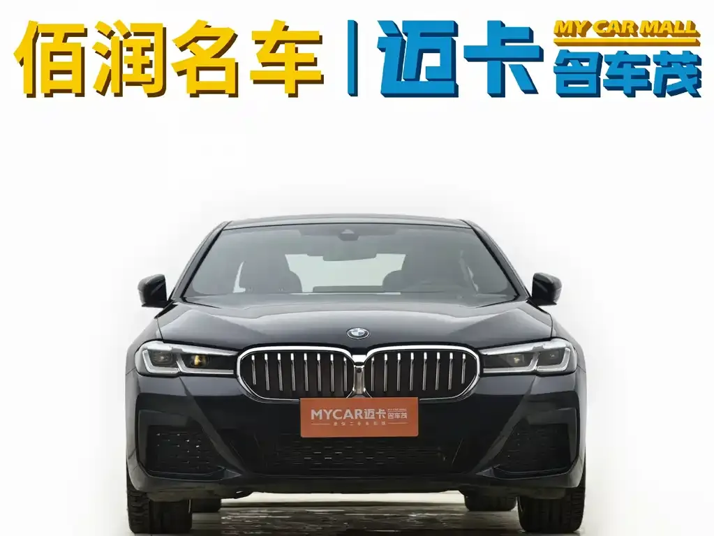 BMW 5 Series 2023 из CN, фото 9