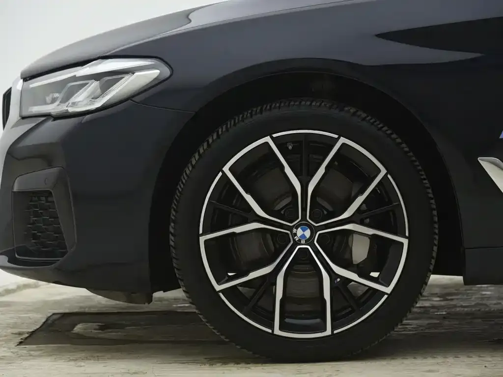 BMW 5 Series 2023 из CN, фото 6