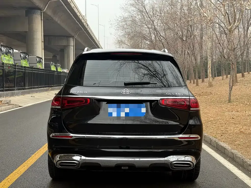 Mercedes-Benz GLS 2021 из CN, фото 3