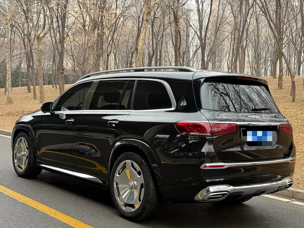 Mercedes-Benz GLS 2021 из CN, фото 8