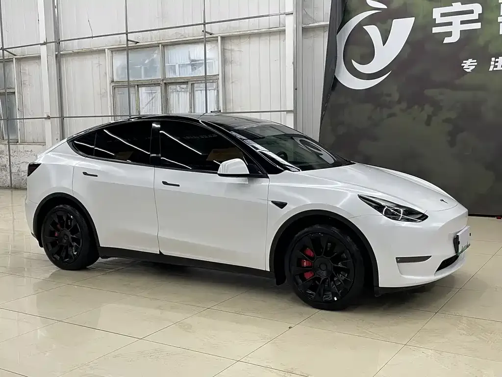 Tesla Model Y — фото 2