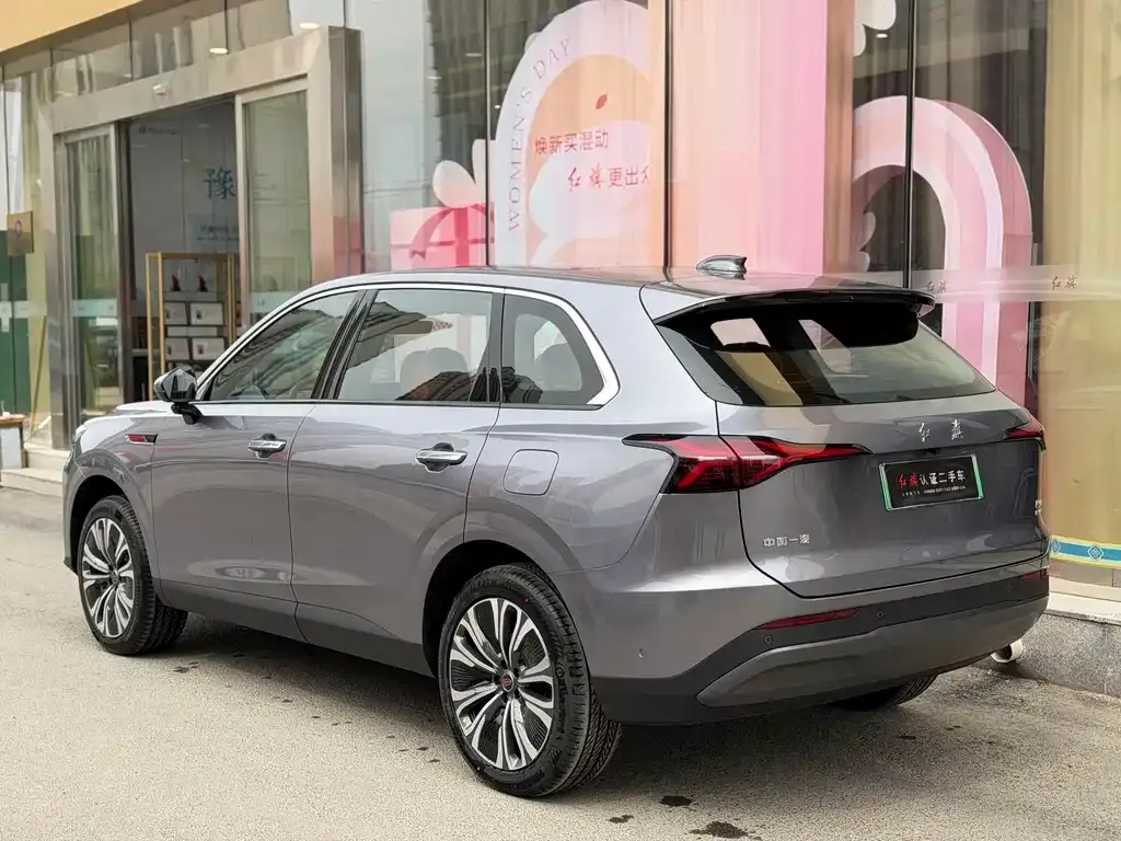 Hongqi HS6 PHEV 2025 из CN, фото 8