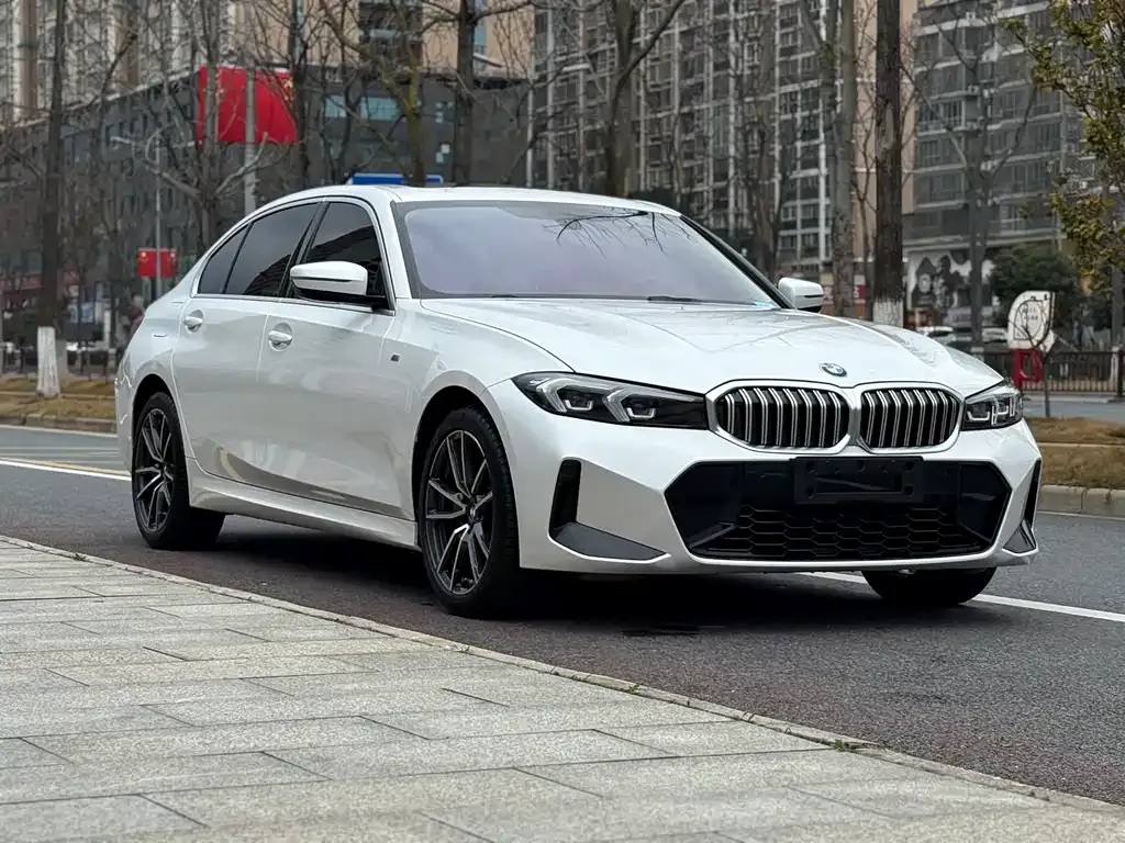 BMW 3 Series 2023 из CN, фото 7