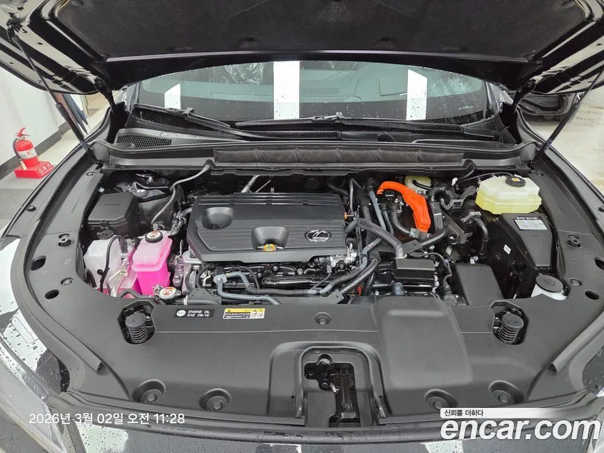 Lexus RX 2026 из KR, фото 9