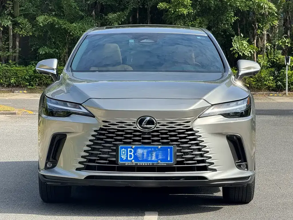 Lexus RX — фото 10