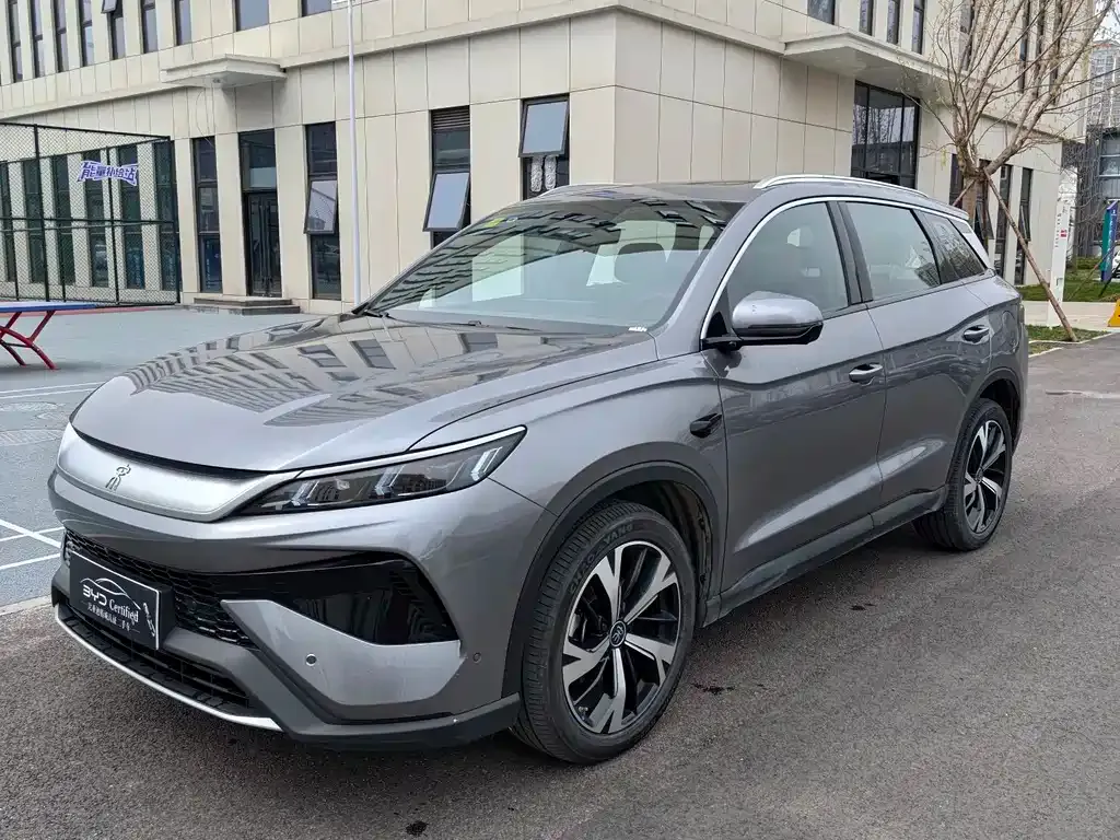 BYD Pro New Energy 2025 из CN, фото 1
