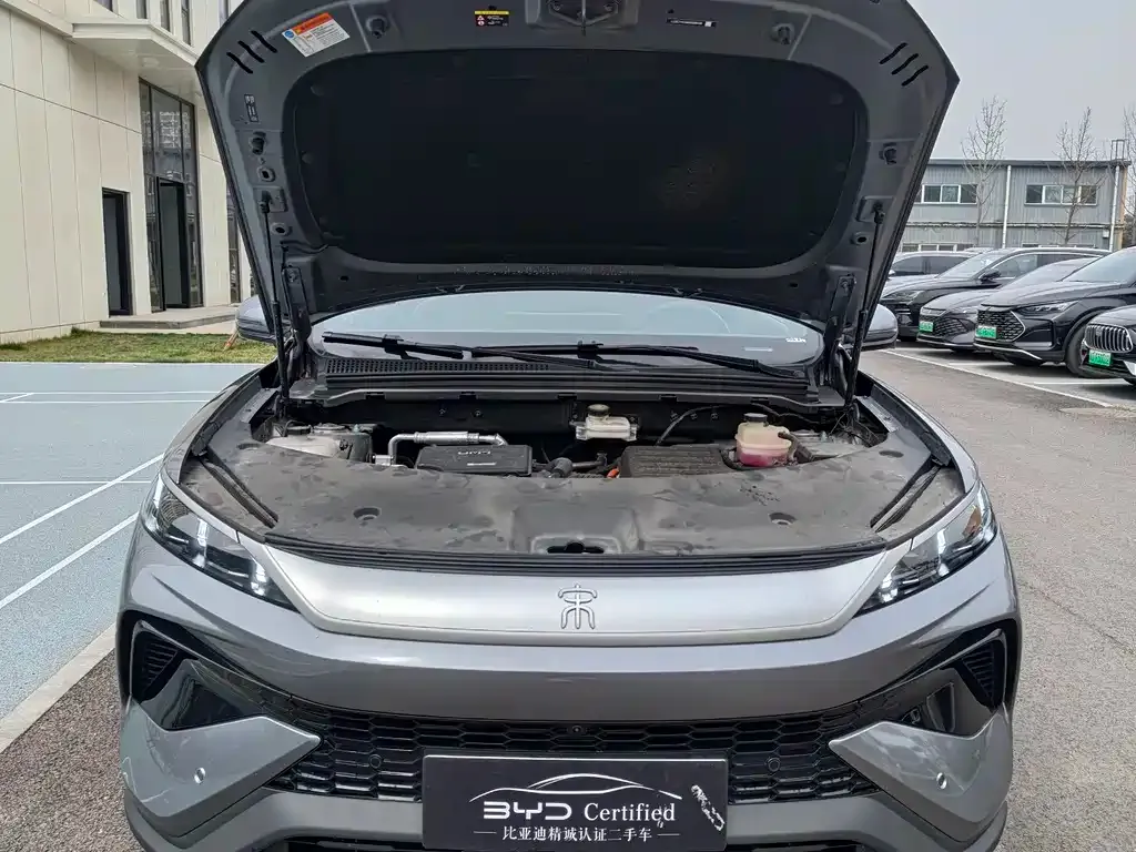BYD Pro New Energy 2025 из CN, фото 2