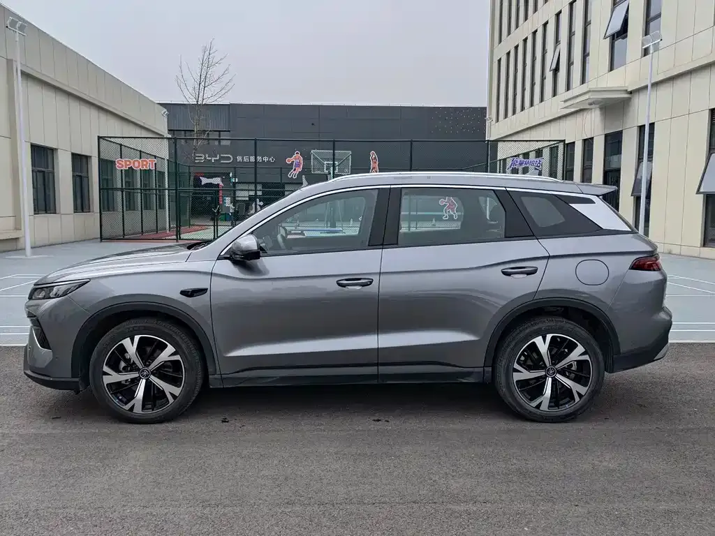 BYD Pro New Energy 2025 из CN, фото 3