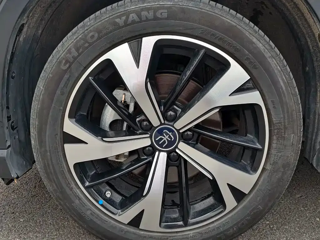 BYD Pro New Energy 2025 из CN, фото 4