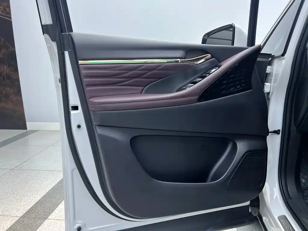 GAC Motor Trumpchi M8 2024 из CN, фото 9