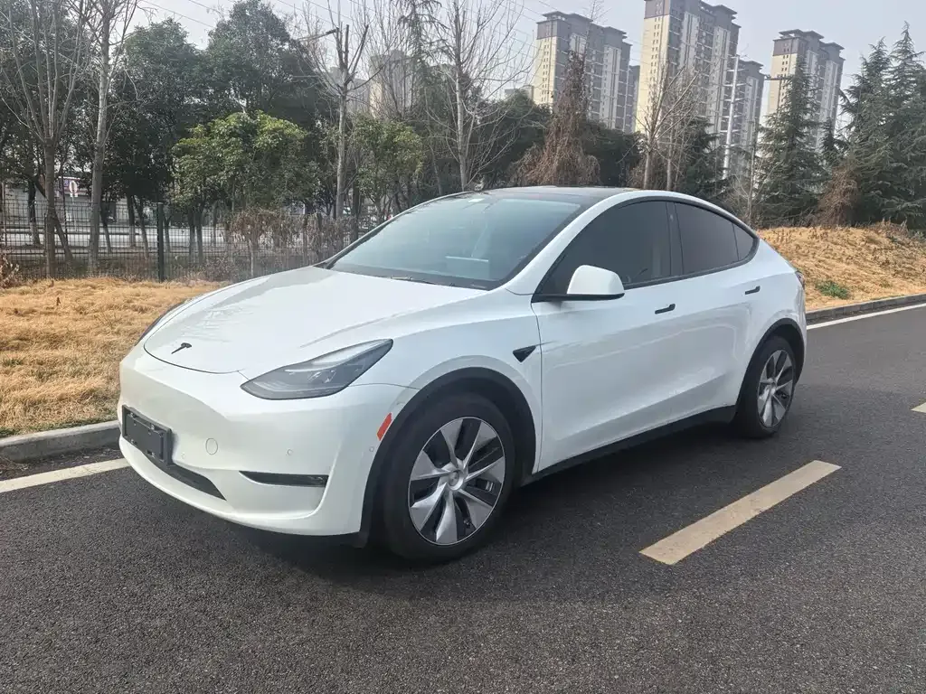 Tesla Model Y 2021 из CN, фото 1