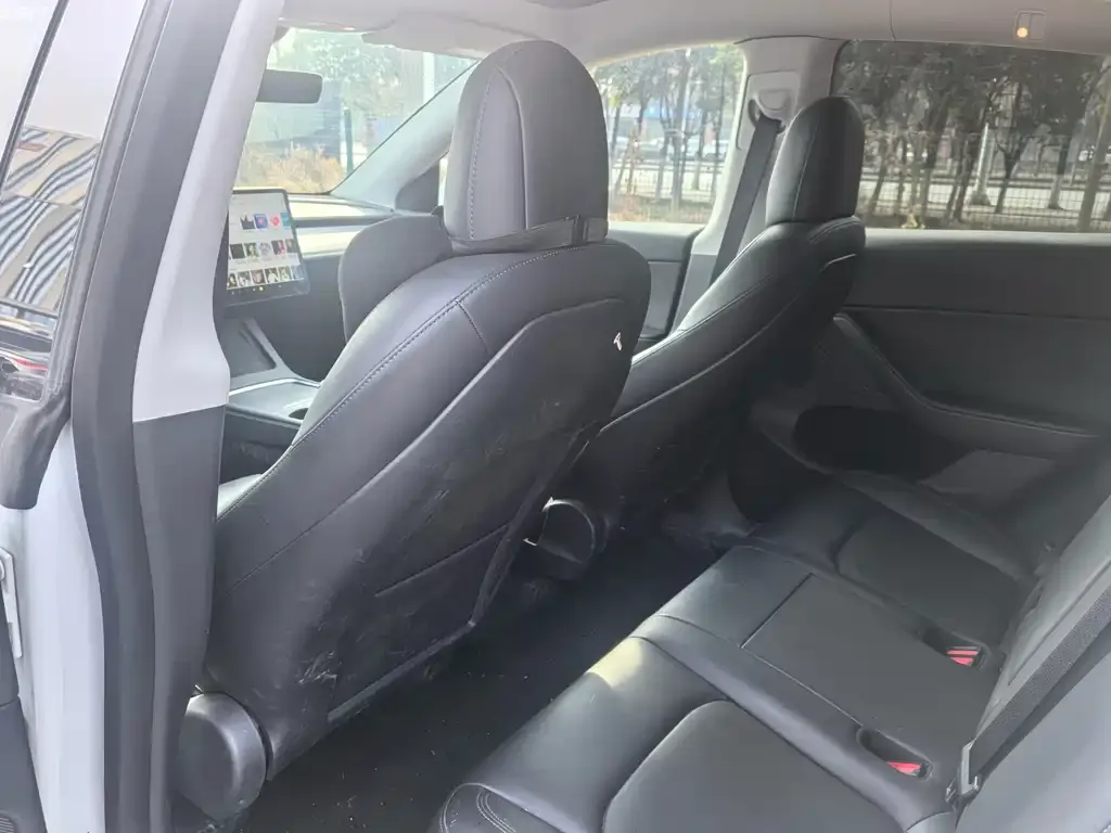 Tesla Model Y 2021 из CN, фото 2