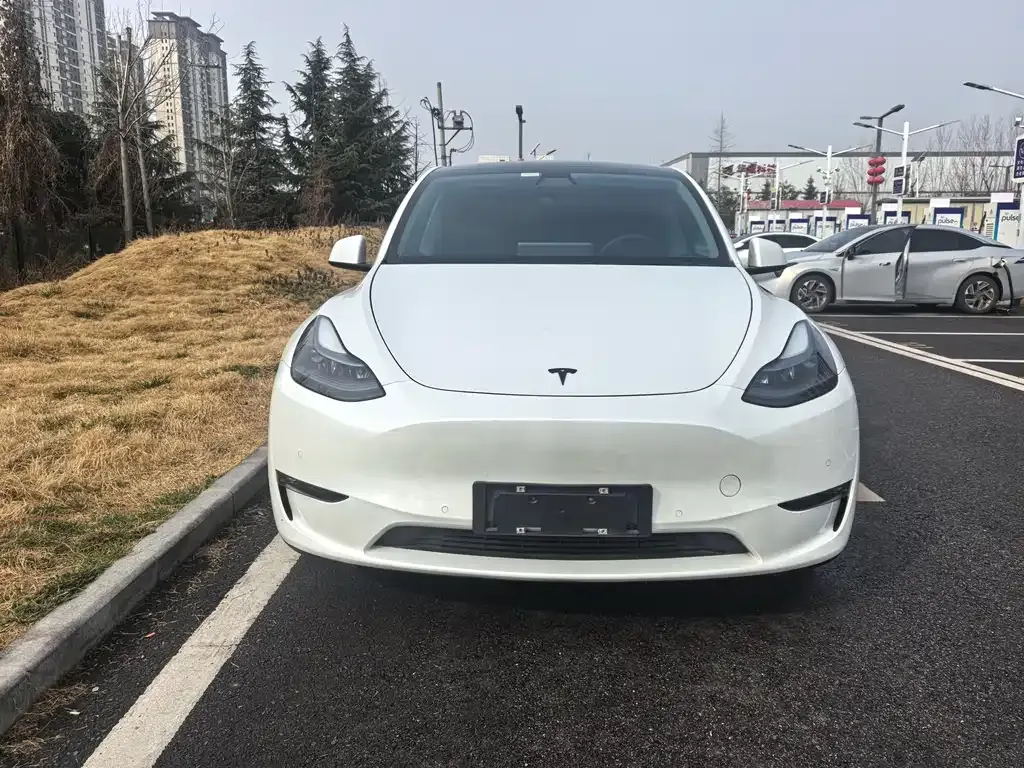 Tesla Model Y 2021 из CN, фото 10