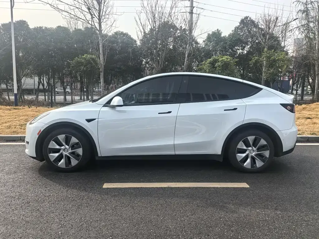 Tesla Model Y 2021 из CN, фото 5