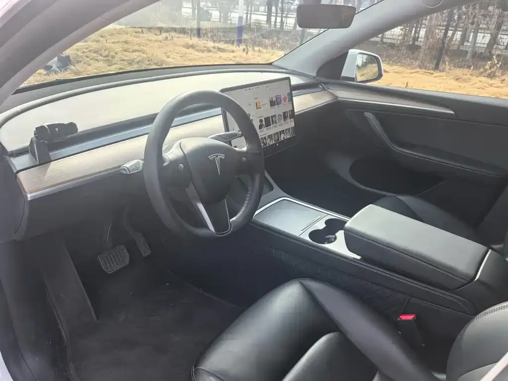 Tesla Model Y 2021 из CN, фото 8