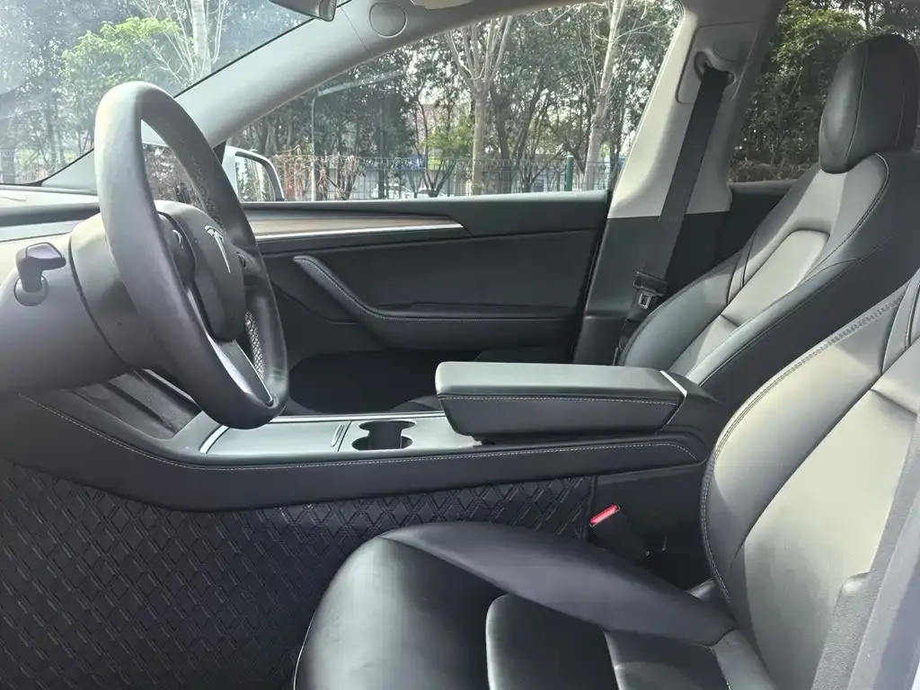 Tesla Model Y 2021 из CN, фото 7