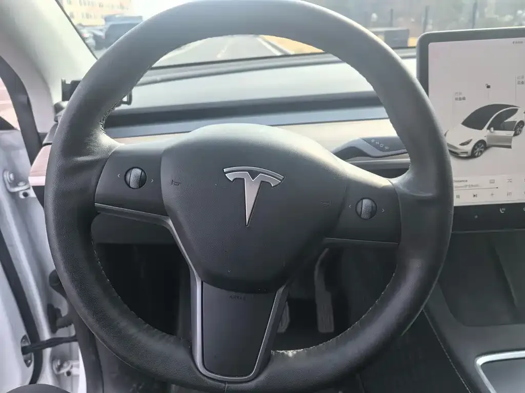 Tesla Model Y 2021 из CN, фото 4