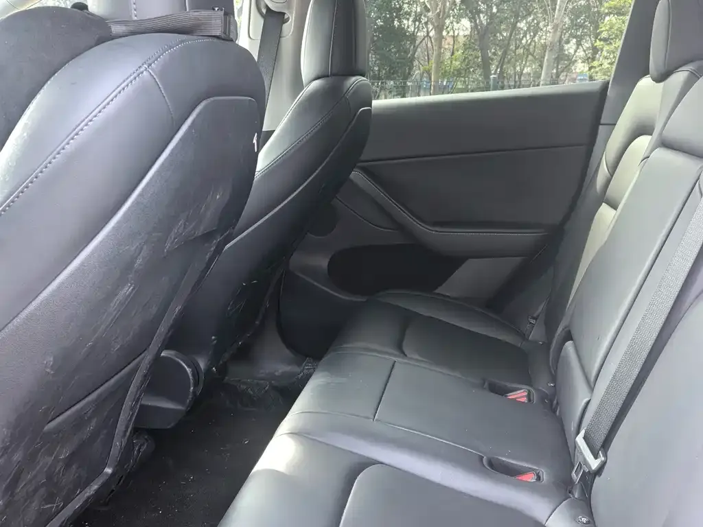 Tesla Model Y 2021 из CN, фото 3