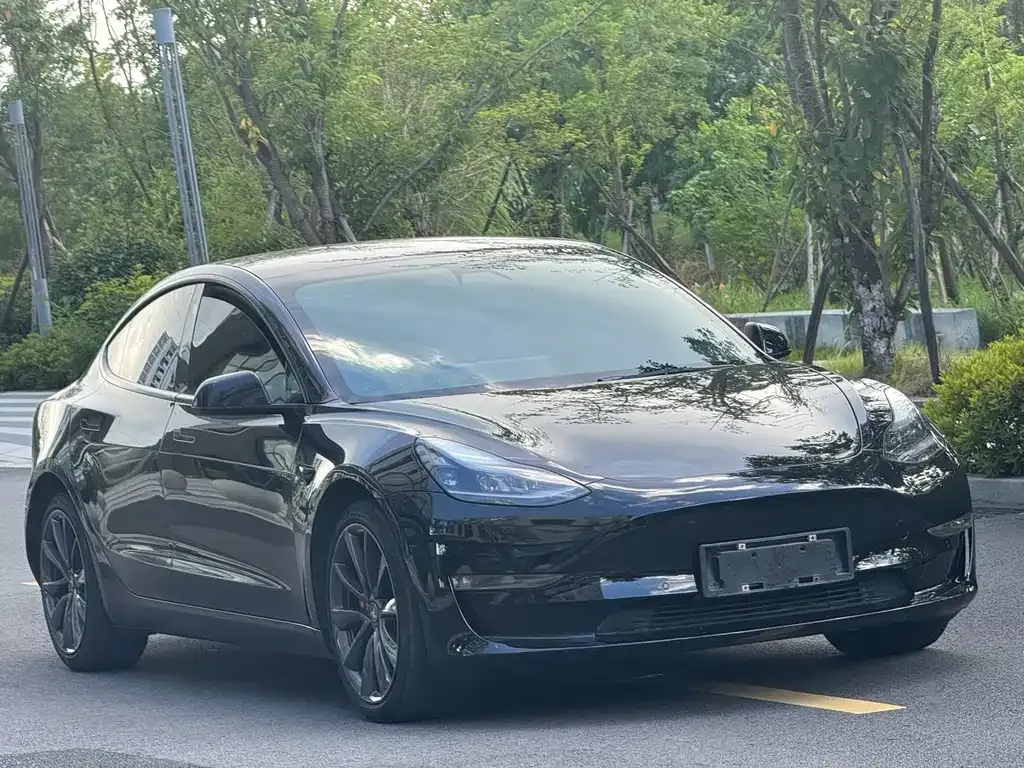 Tesla Model 3 2021 из CN, фото 7