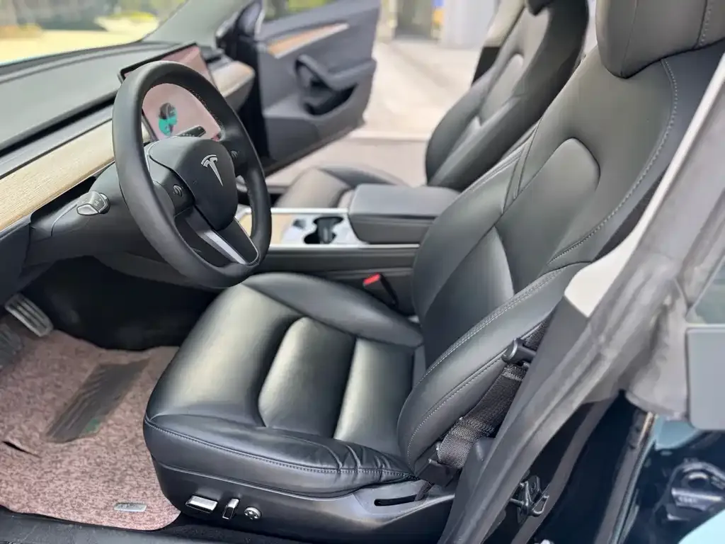 Tesla Model 3 2021 из CN, фото 9