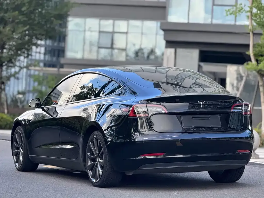 Tesla Model 3 2021 из CN, фото 3