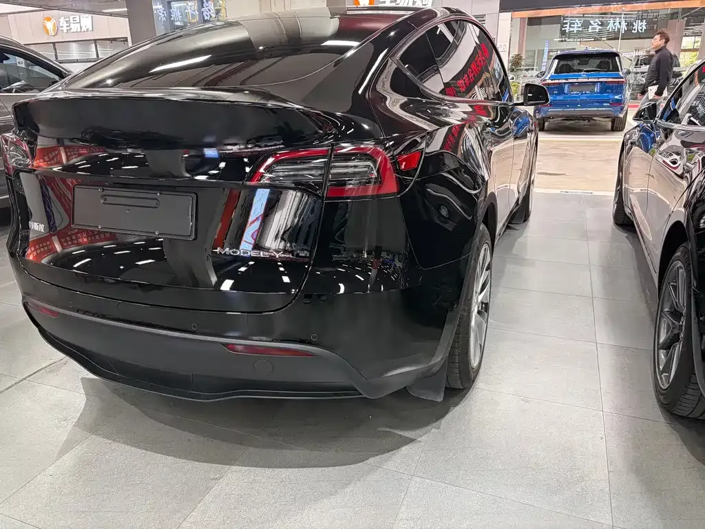 Tesla Model Y — фото 10