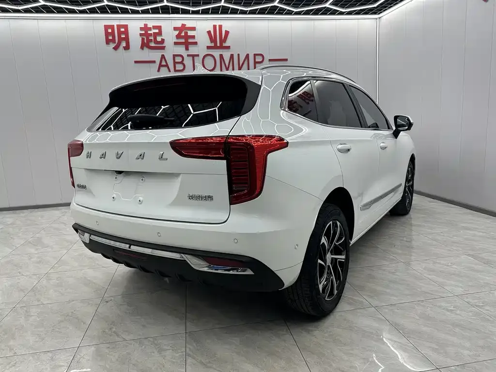 Haval Chulian 2021 из CN, фото 5