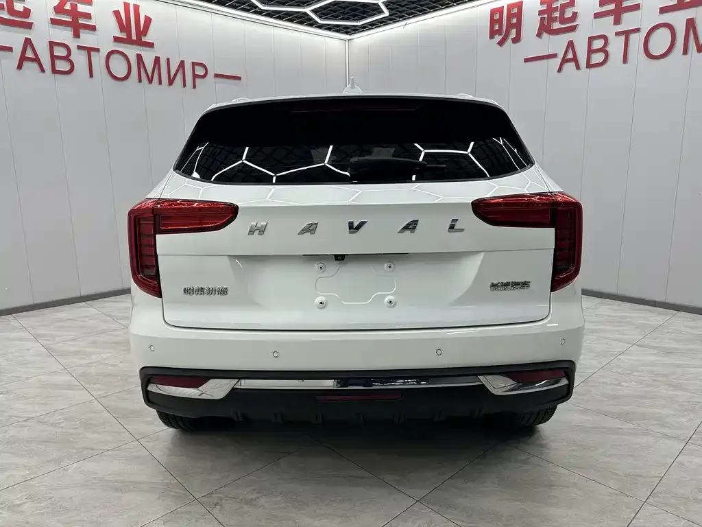 Haval Chulian 2021 из CN, фото 4