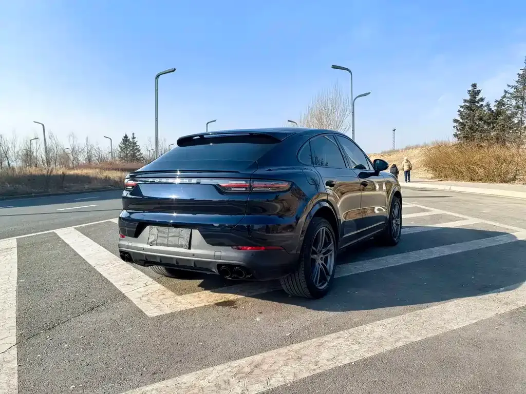 Porsche Cayenne — фото 8