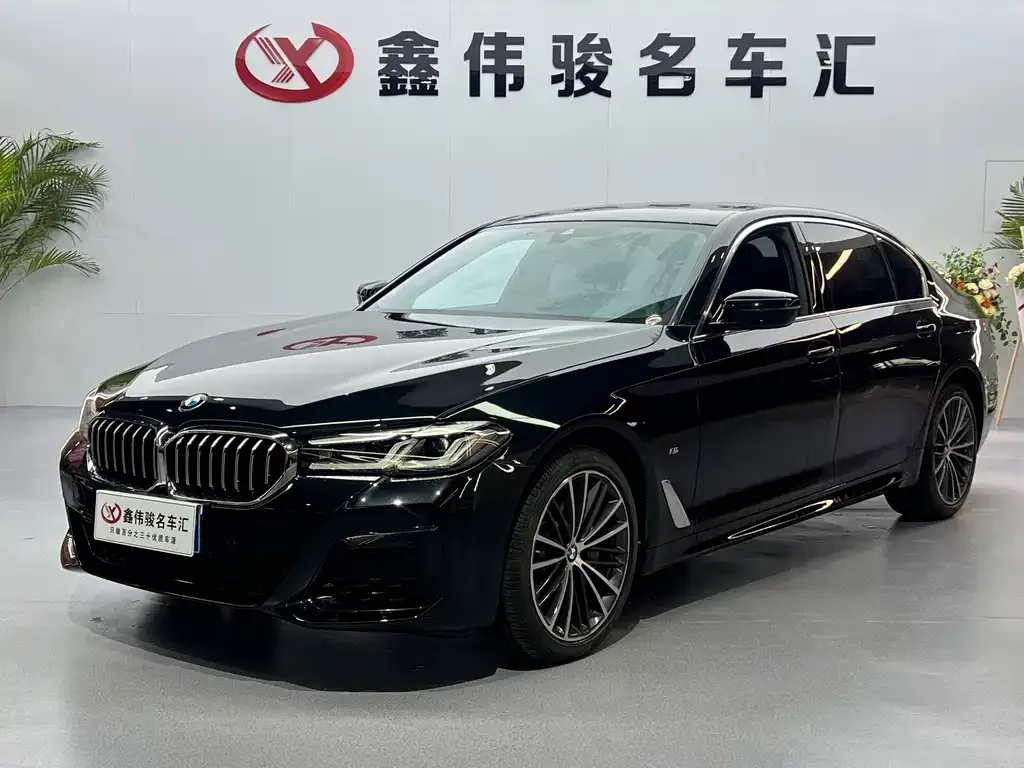 BMW 5 Series 2023 из CN, фото 4