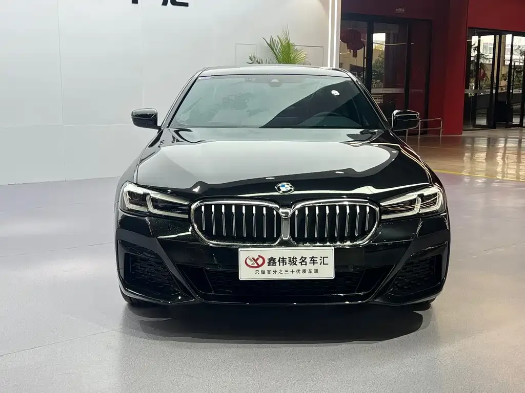 BMW 5 Series 2023 из CN, фото 5