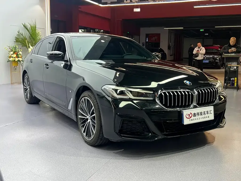 BMW 5 Series 2023 из CN, фото 9