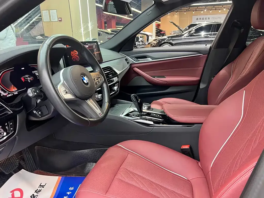 BMW 5 Series 2023 из CN, фото 8