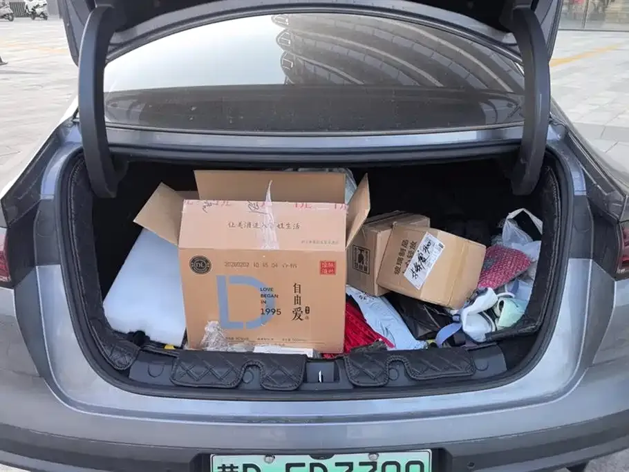 BYD Qin L 2024 из CN, фото 2