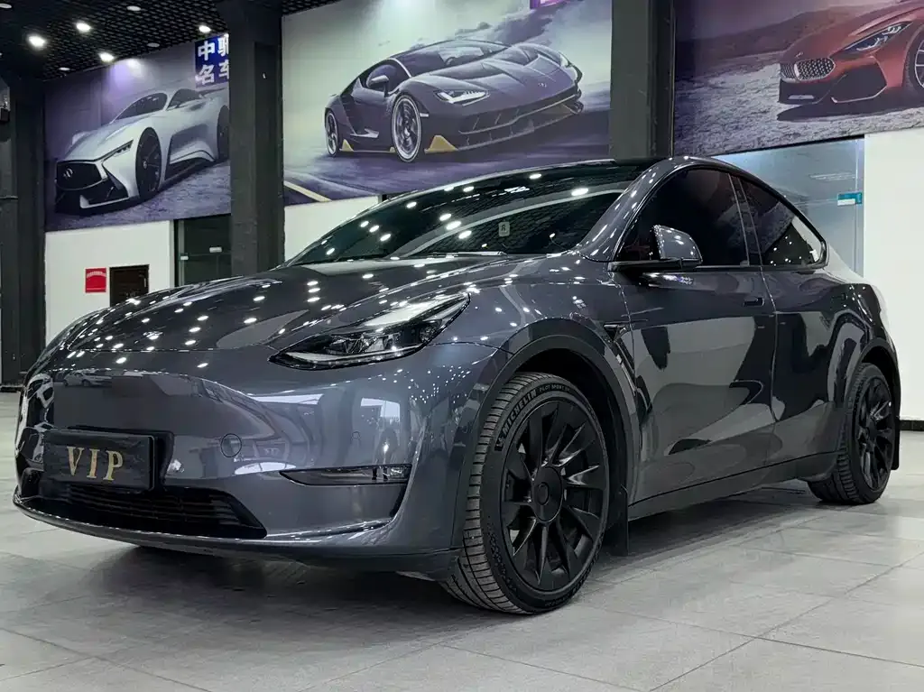 Tesla Model Y 2021 из CN, фото 1