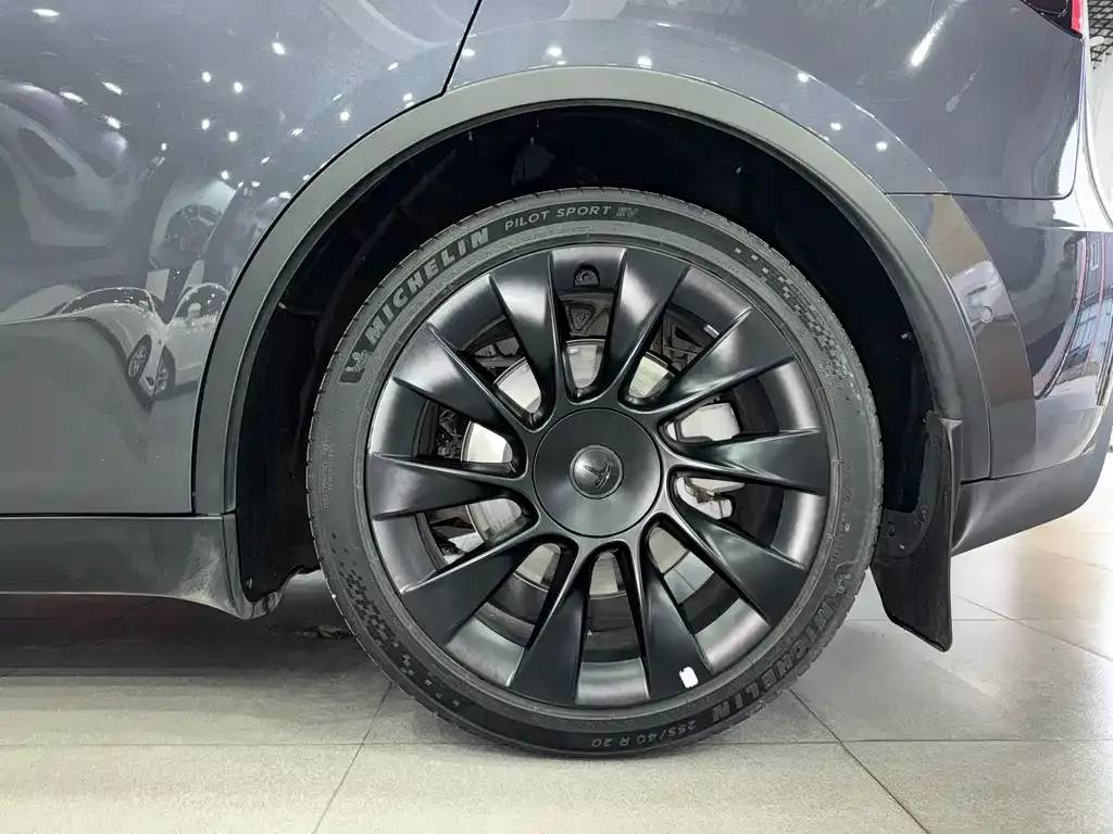 Tesla Model Y 2021 из CN, фото 5