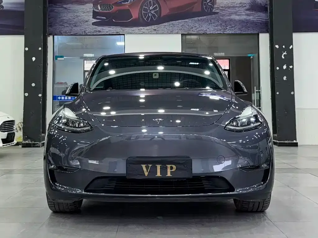 Tesla Model Y 2021 из CN, фото 10
