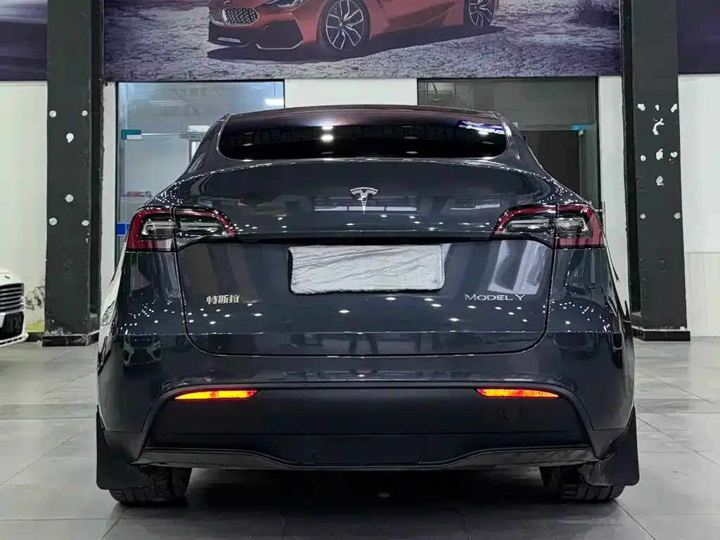 Tesla Model Y 2021 из CN, фото 8