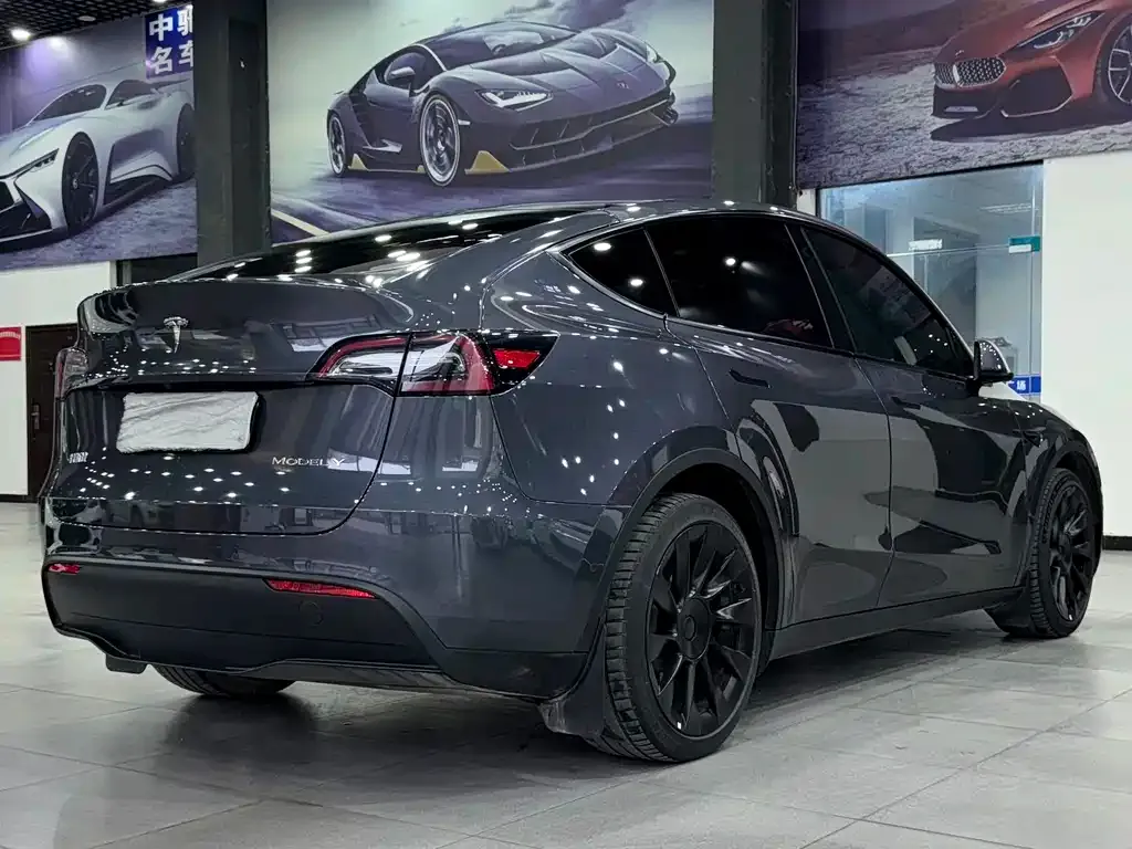 Tesla Model Y 2021 из CN, фото 6