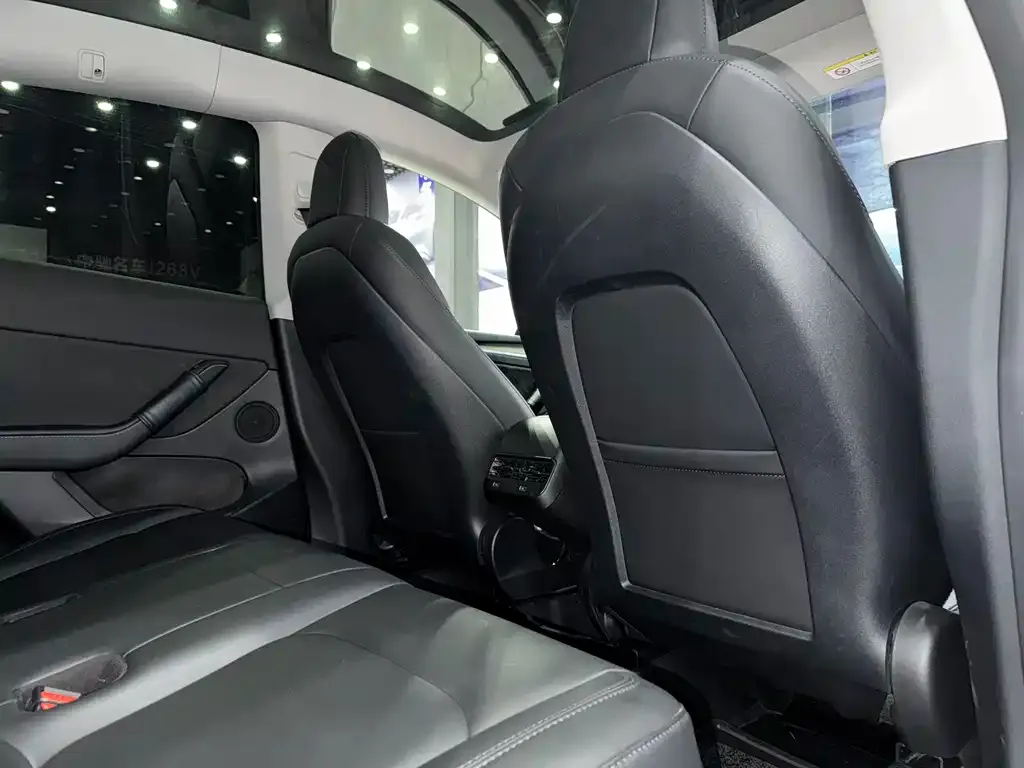 Tesla Model Y 2021 из CN, фото 4