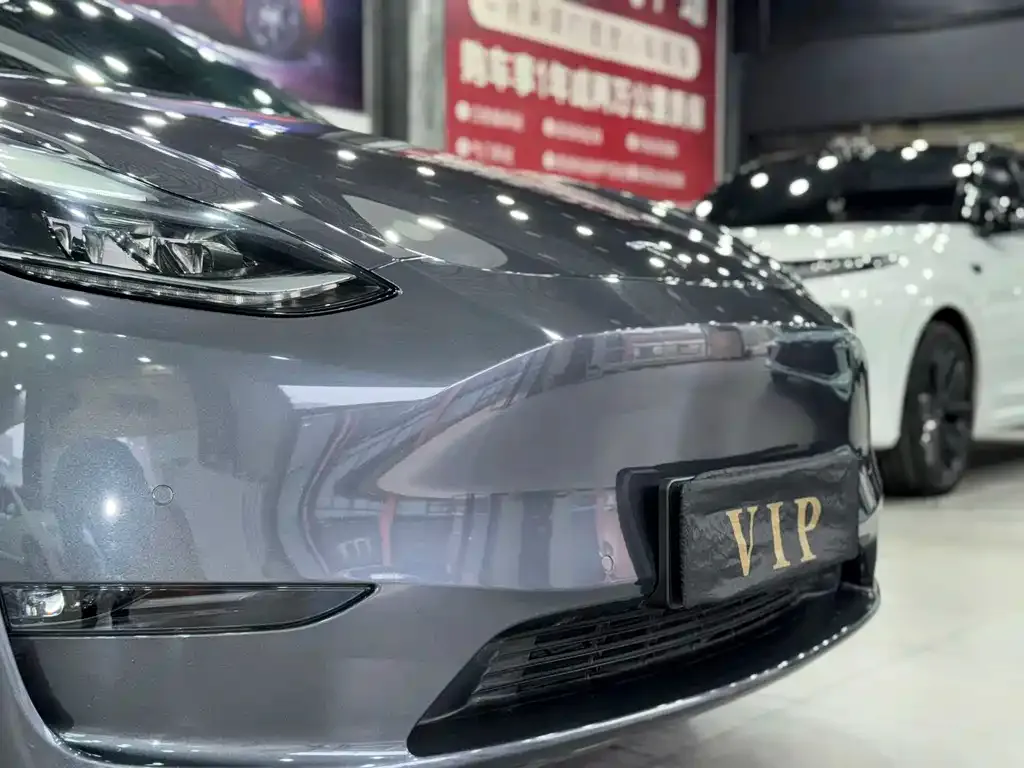 Tesla Model Y 2021 из CN, фото 7