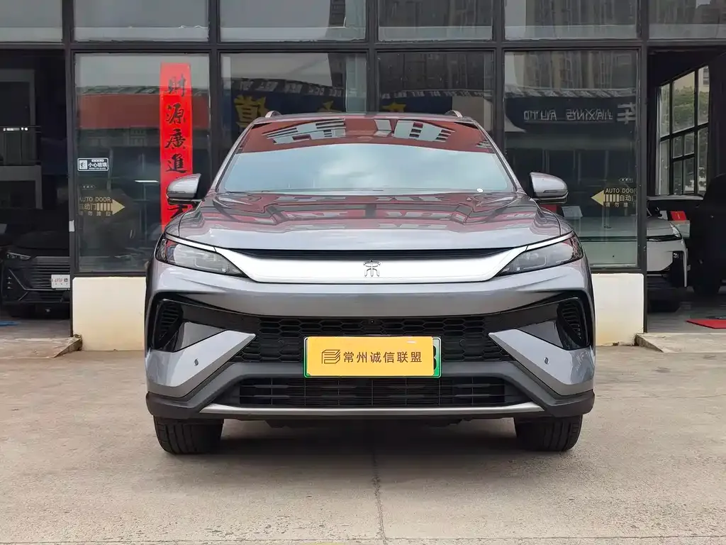 BYD Pro New Energy — фото 10