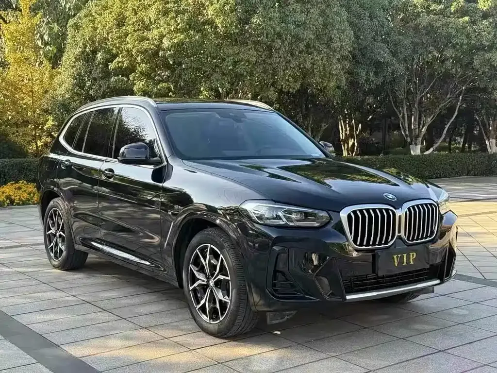 BMW X3 2024 из CN, фото 1