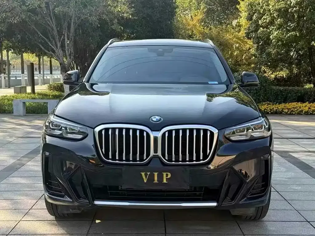 BMW X3 2024 из CN, фото 4