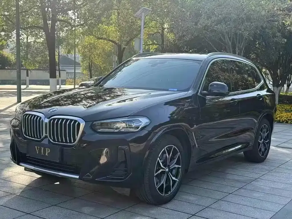 BMW X3 2024 из CN, фото 5