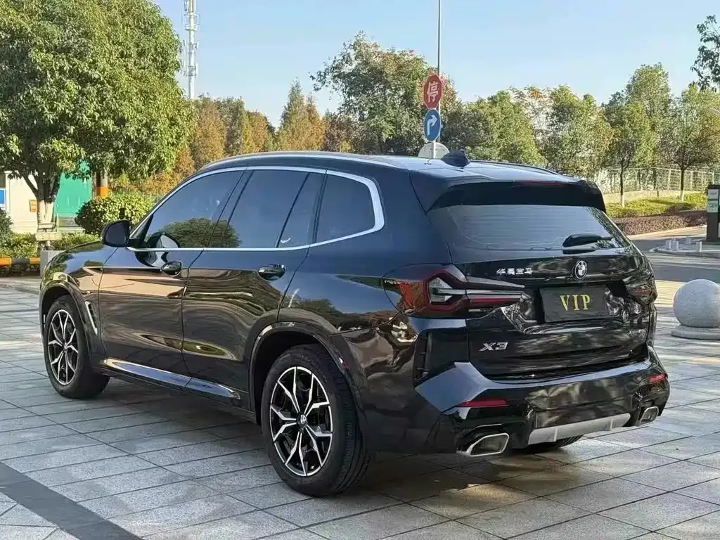 BMW X3 2024 из CN, фото 9