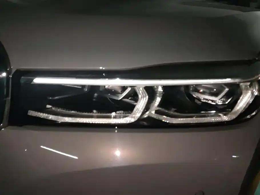 BMW 7 Series 2021 из CN, фото 4
