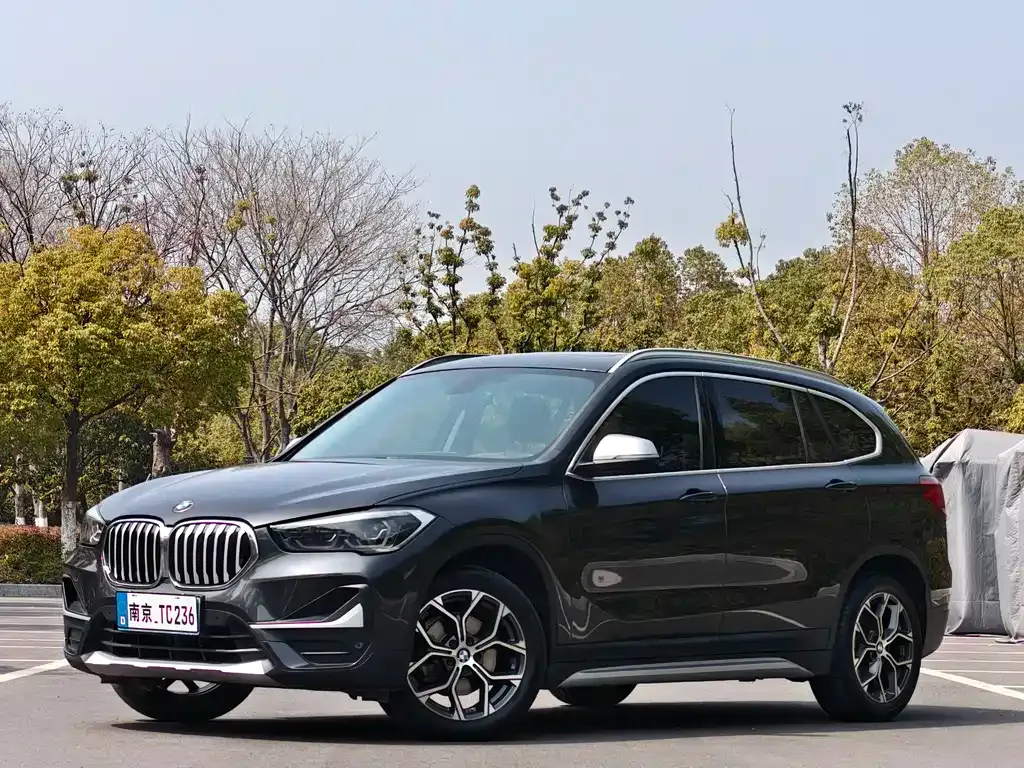 BMW X1 — фото 1