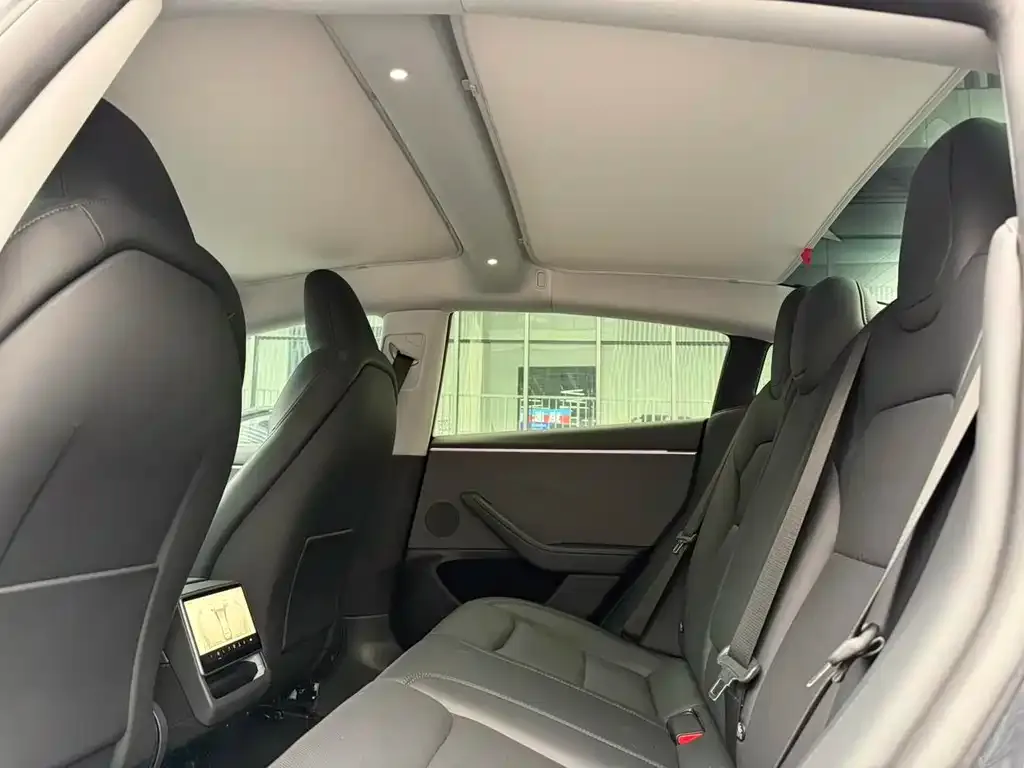 Tesla Model 3 2024 из CN, фото 3