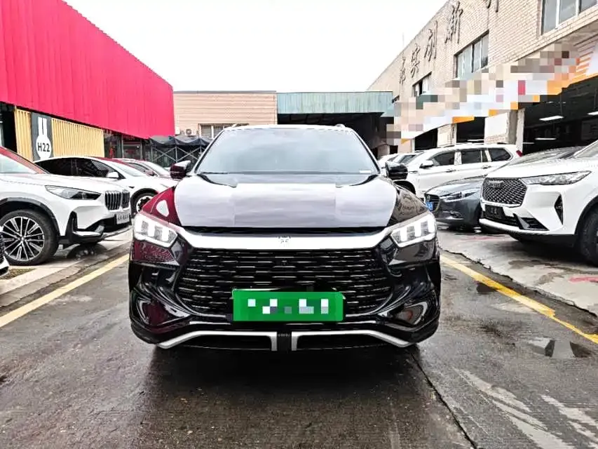 BYD Pro New Energy 2025 из CN, фото 8